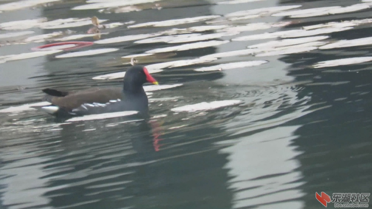 snapshot20220104100924.jpg
