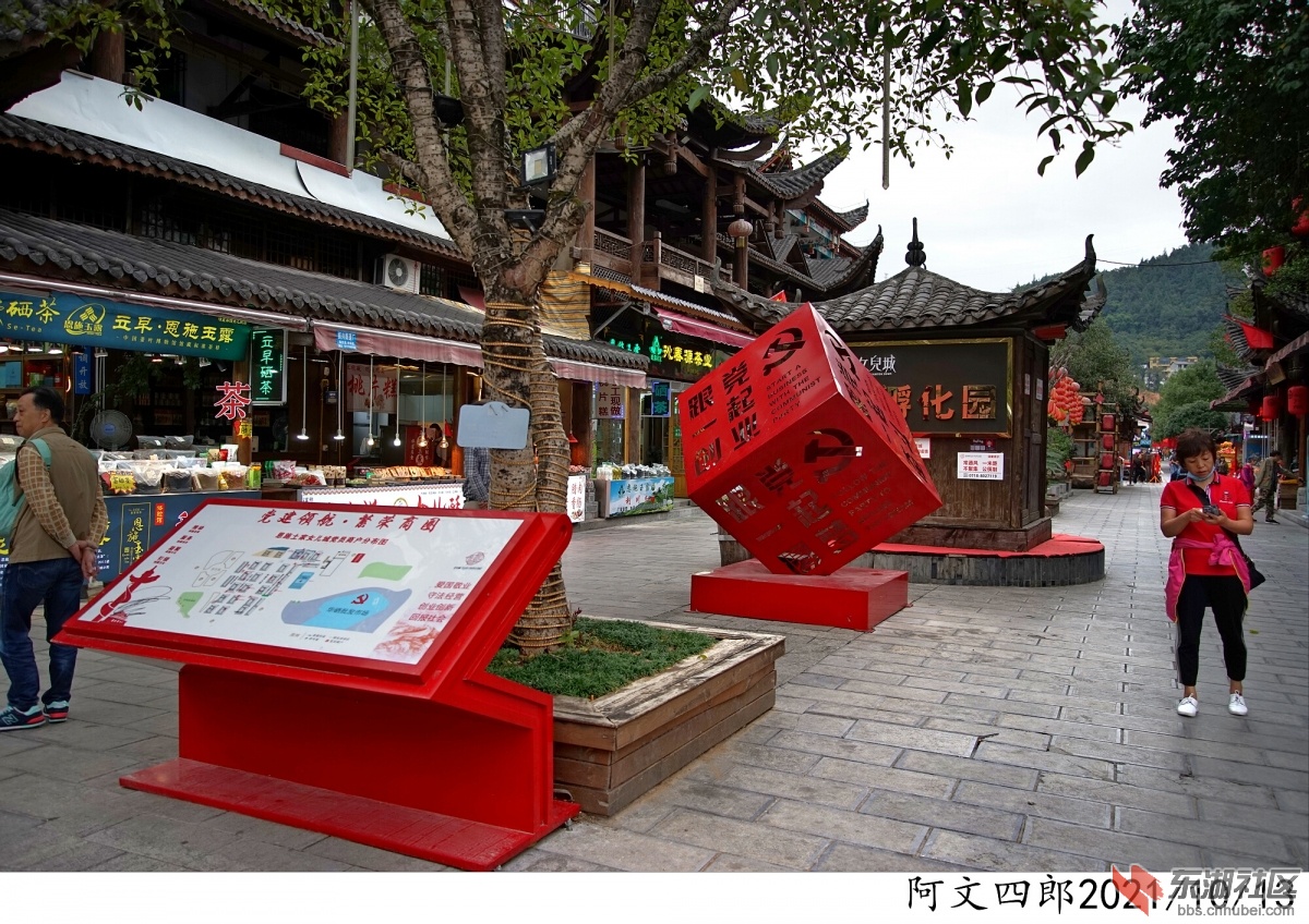 DSC00179.jpg