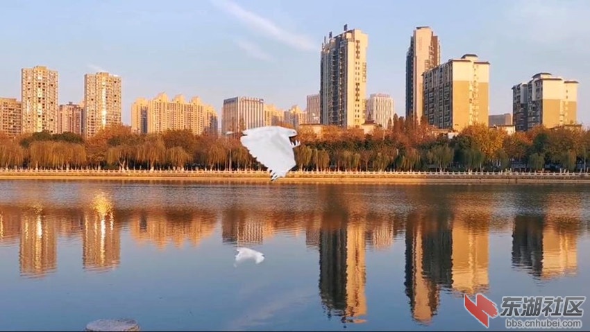 360截图20211204101542685.jpg