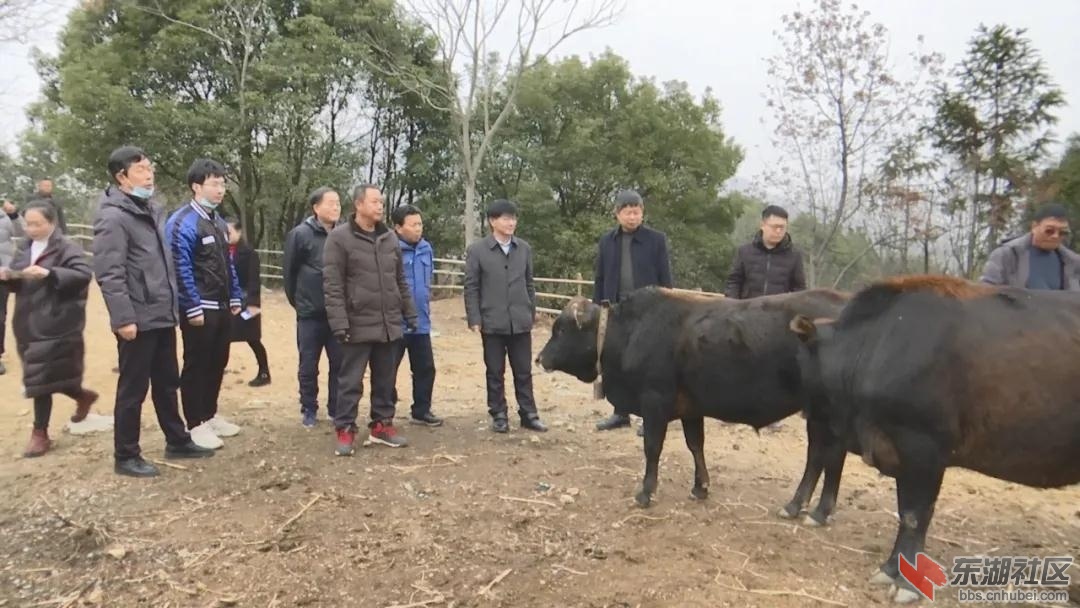 微信图片_20220112140810.jpg
