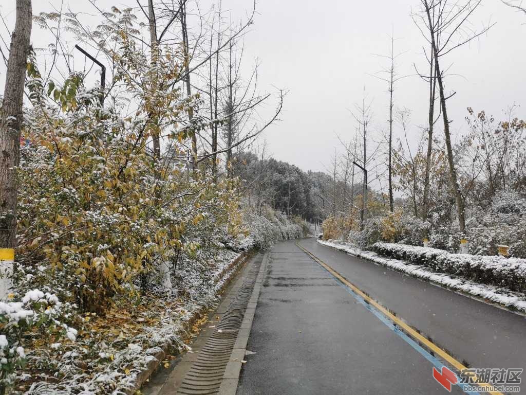 IMG_20211226_094658.jpg