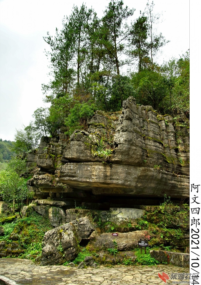 DSC00016.jpg