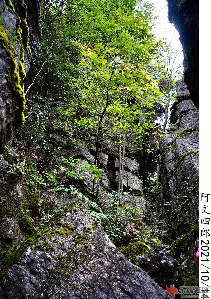 DSC00018.jpg