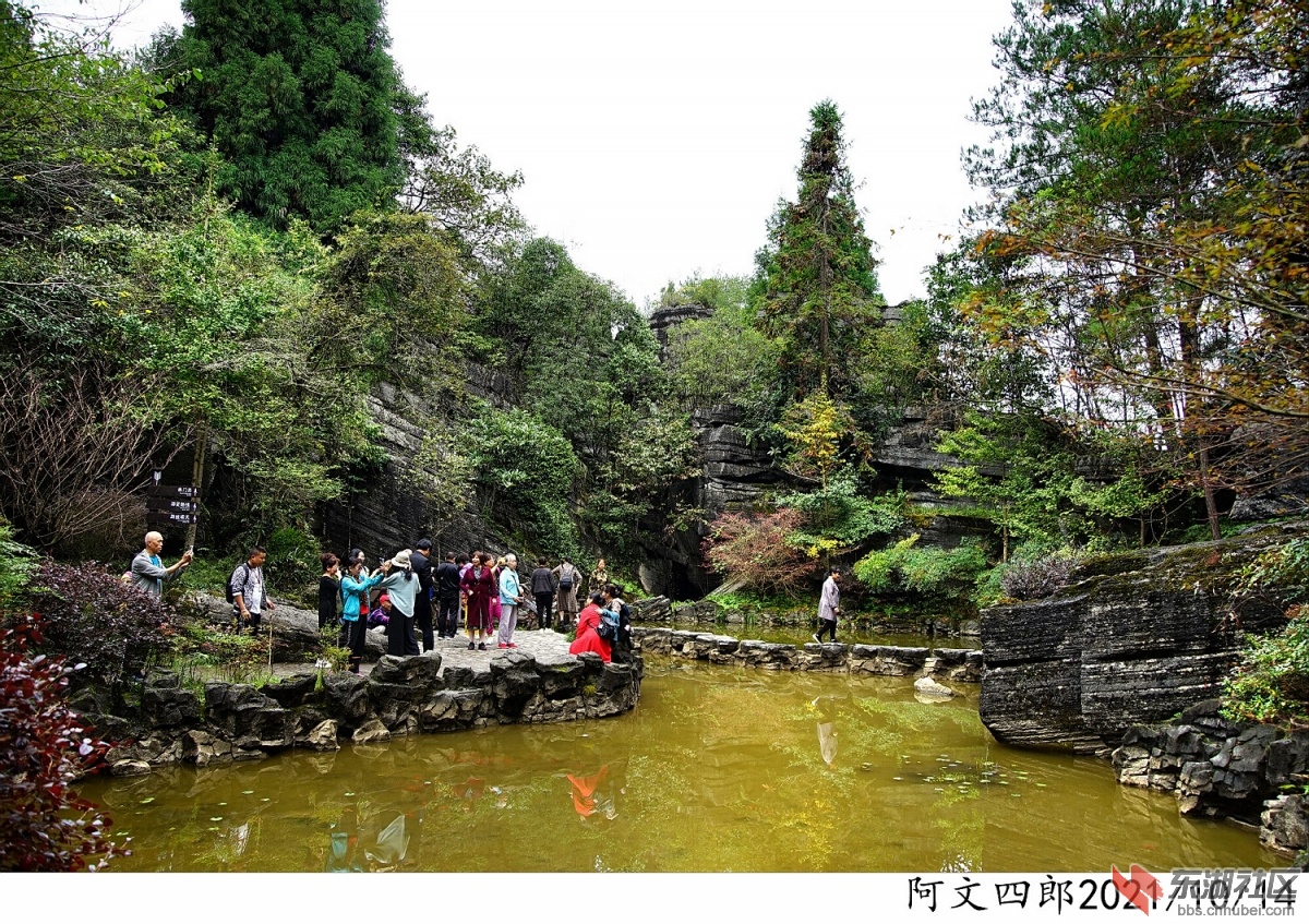 DSC00045.jpg
