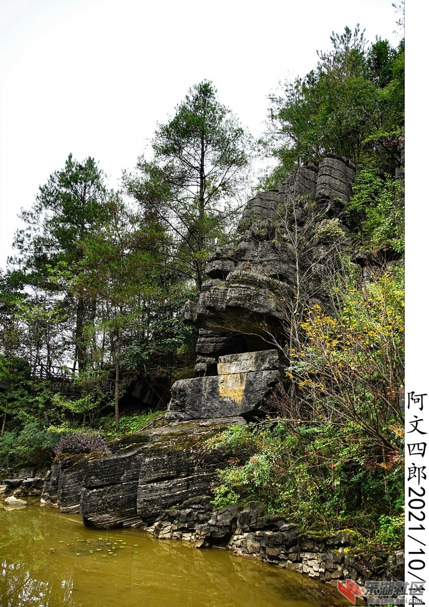 DSC00046.jpg