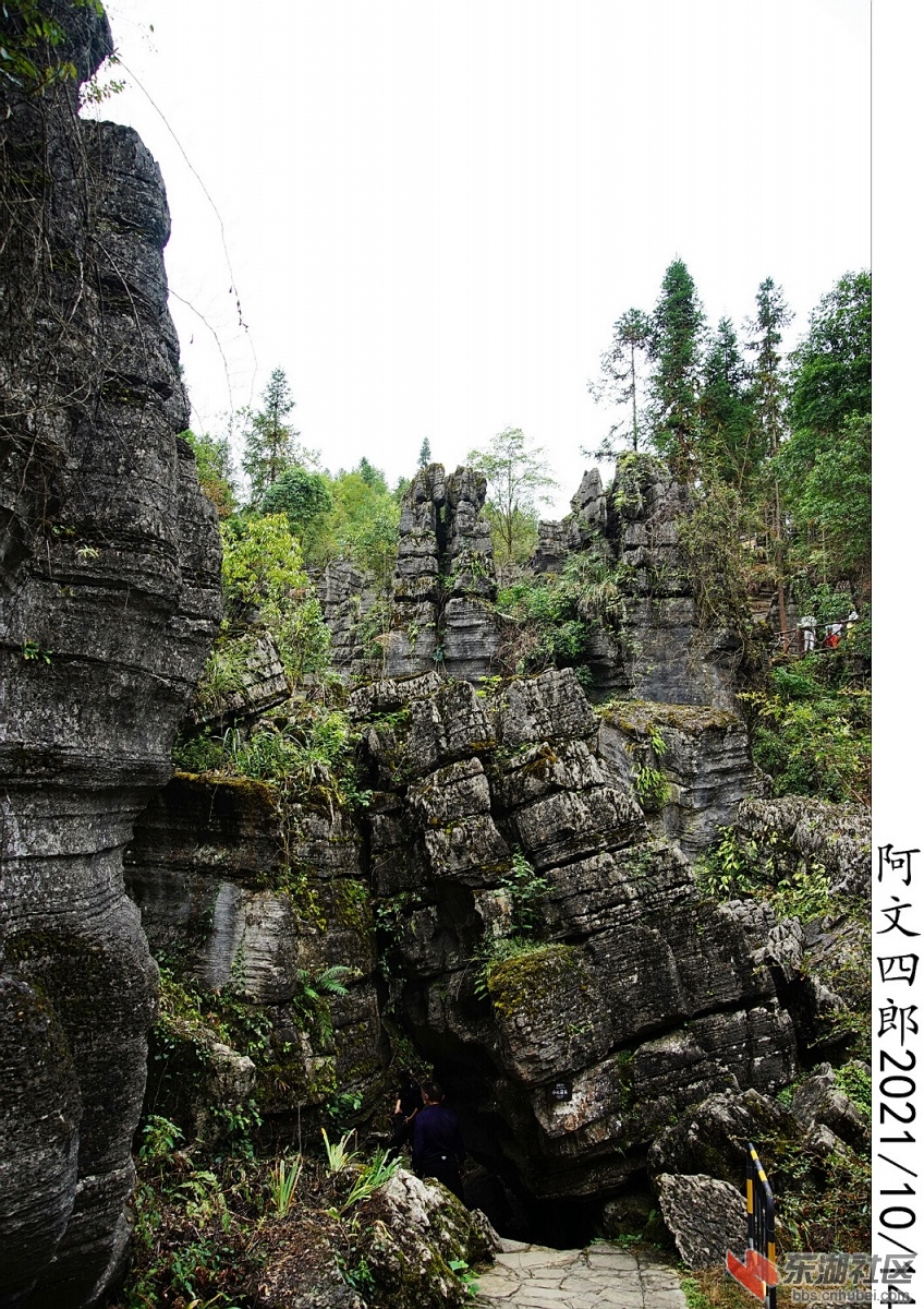 DSC00061.jpg