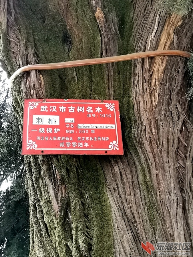 IMG_20220205_160459_副本.jpg
