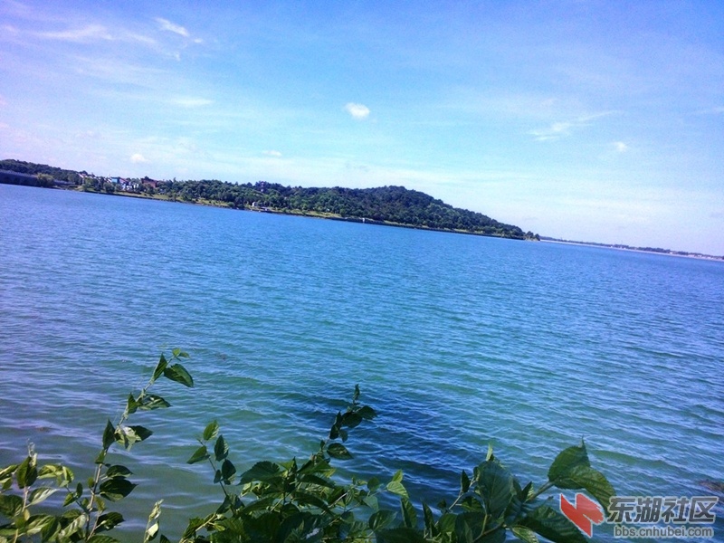 IMG20150727100056.jpg