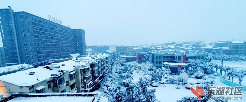 IMG_20220207_071157_副本.jpg