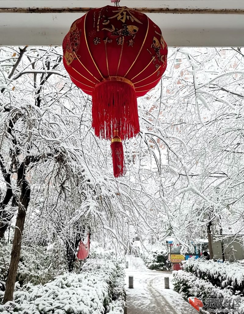 IMG_20220207_081037_副本.jpg