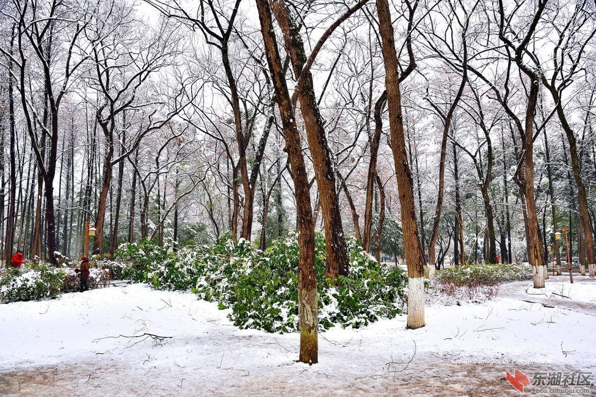 _DSC5567.jpg