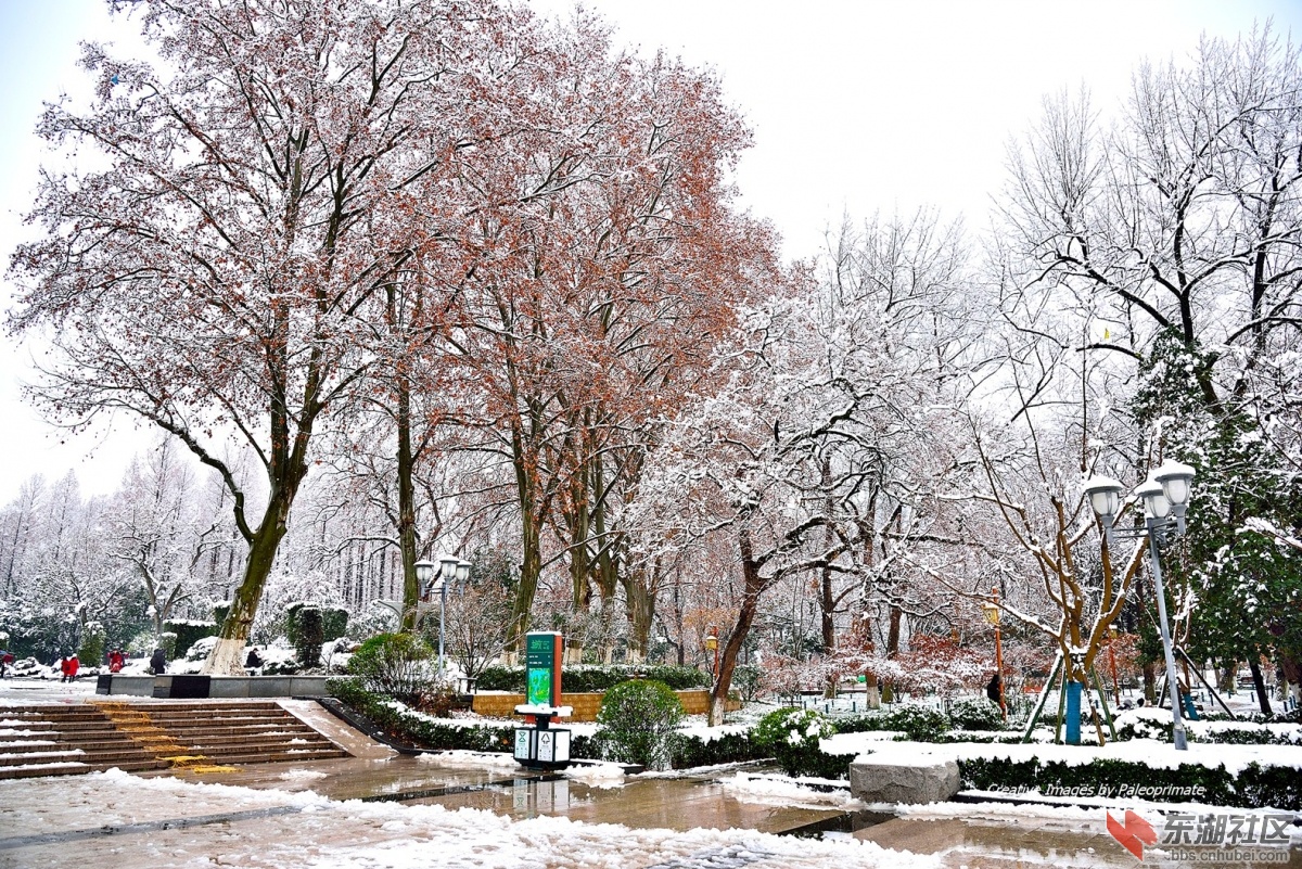 _DSC5558.jpg