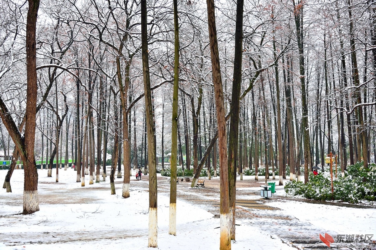 _DSC5563.jpg