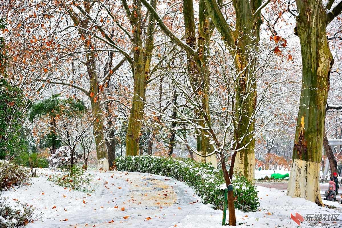 _DSC5560.jpg
