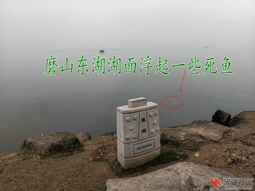 微信图片_20220212172223.jpg