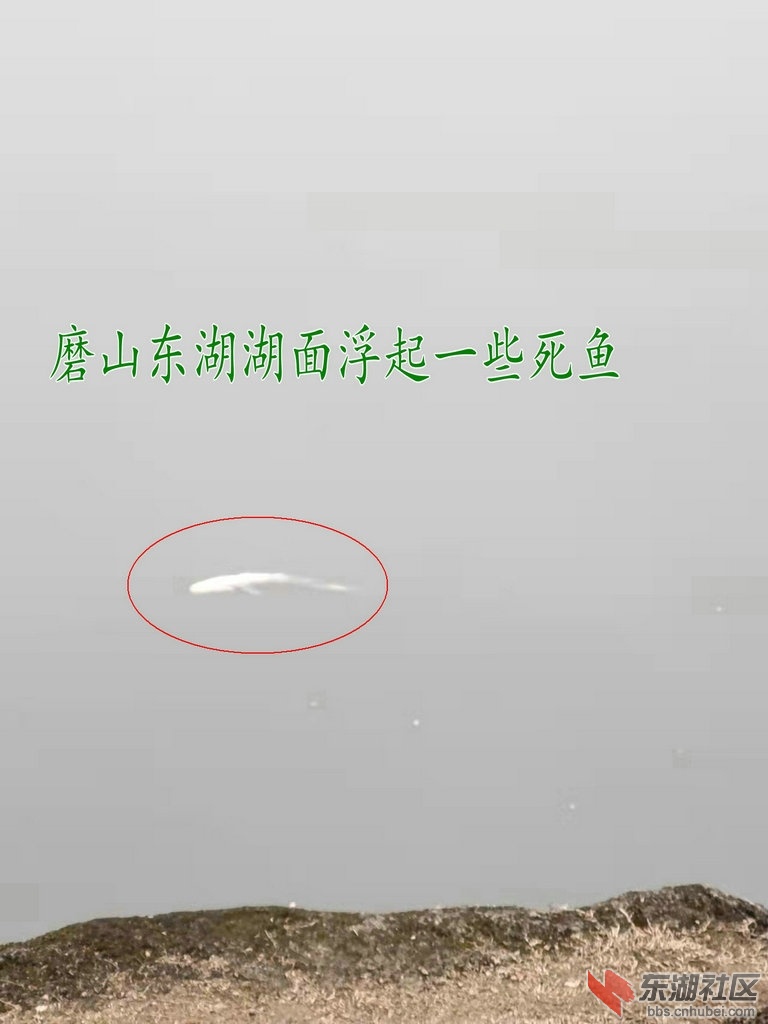 微信图片_20220212172208.jpg