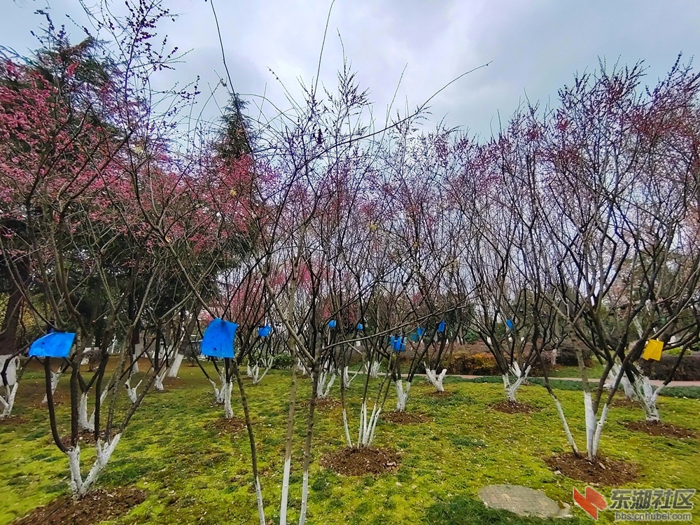 IMG_20220219_133614_副本.jpg