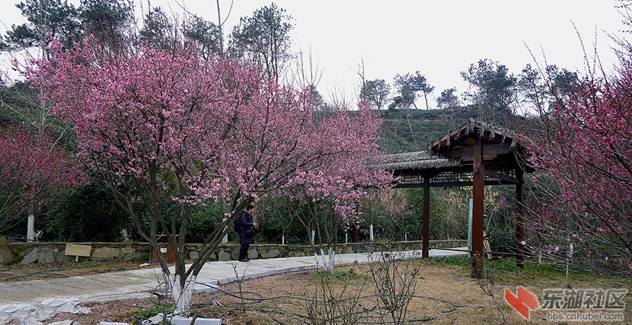 9     DSC00288_副本.jpg