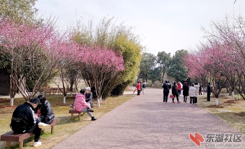 IMG_20220220_141045_副本.jpg