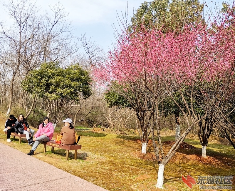 IMG_20220220_141107_副本.jpg