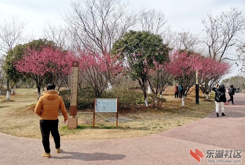 IMG_20220220_141234_副本.jpg