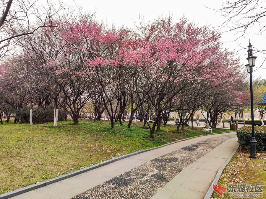 IMG_20220214_161140_副本.jpg