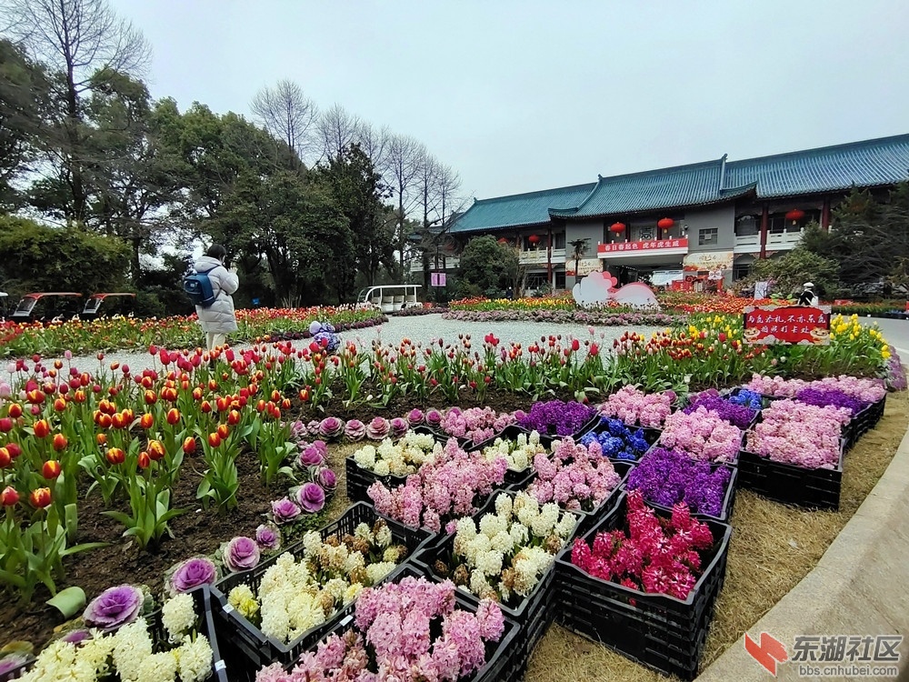 IMG_20220221_115519_副本.jpg