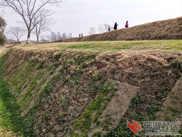 IMG_20220220_141956_副本.jpg