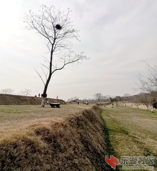 IMG_20220220_144004_副本.jpg