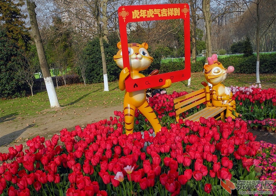 6    DSCN0860_副本.jpg