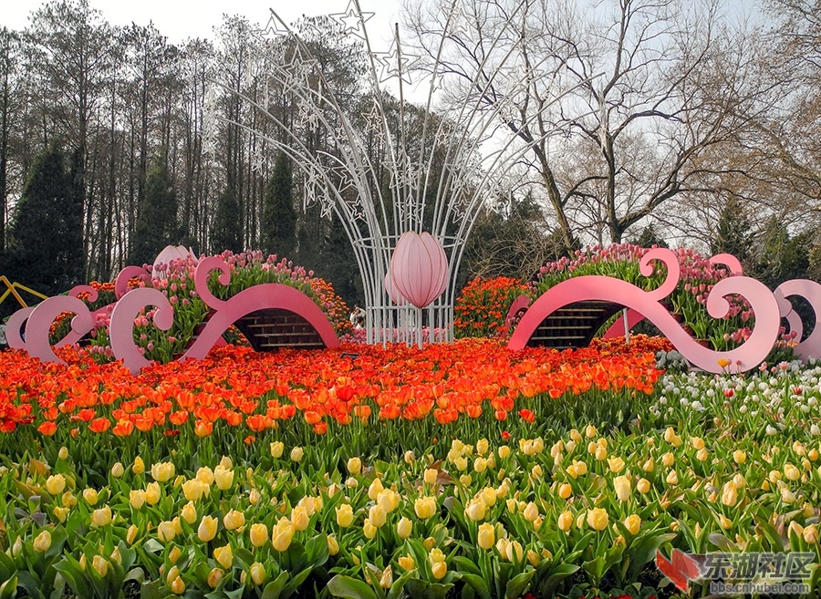 12   DSCN0862_副本.jpg