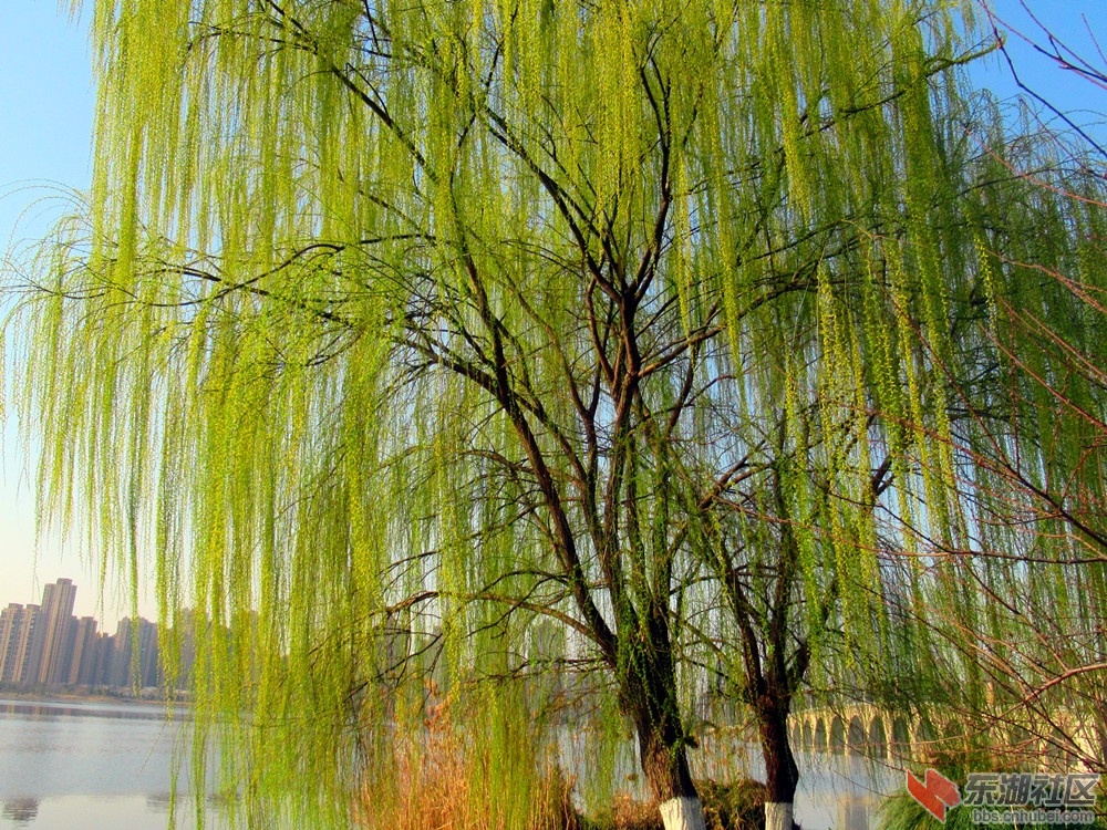 IMG_0609_副本.jpg