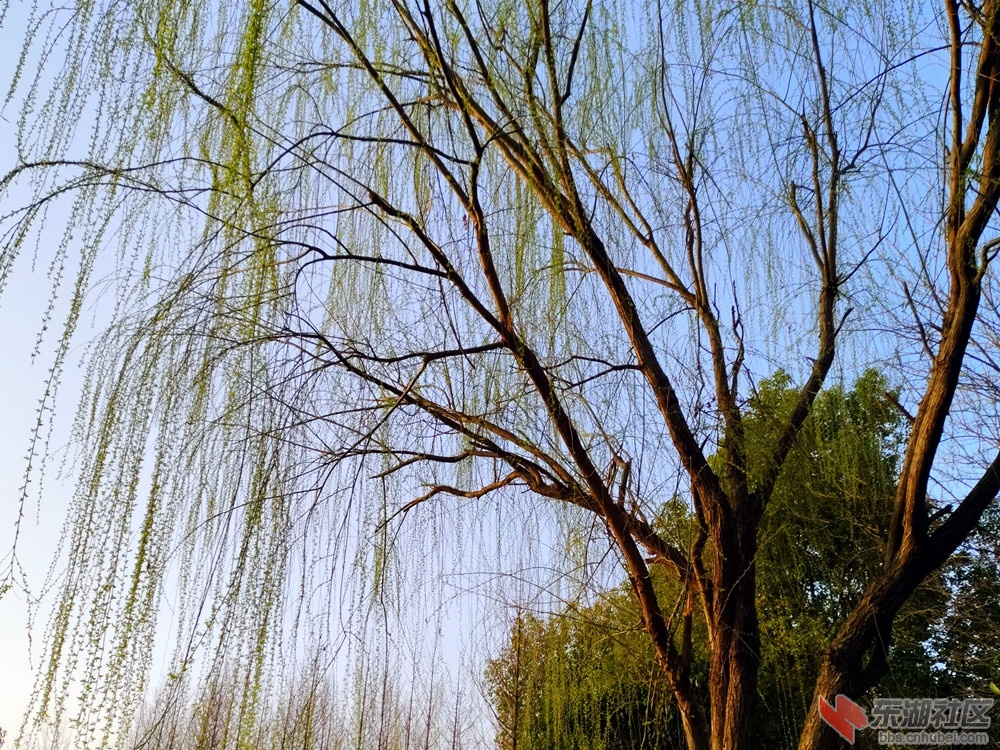 IMG_20220308_072839_副本.jpg
