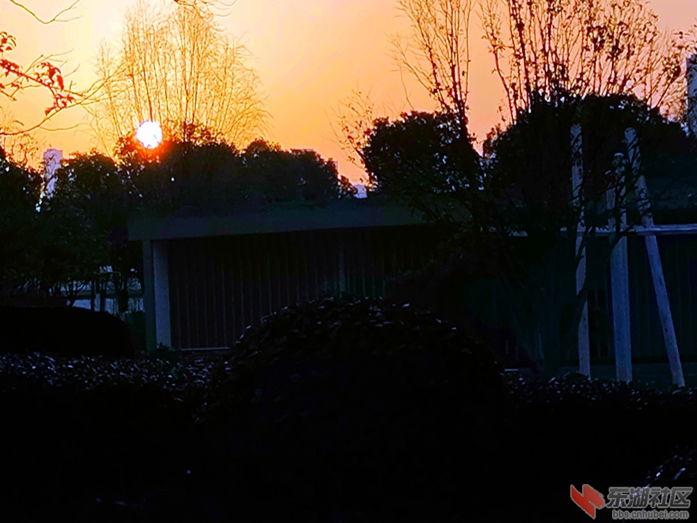 IMG_20220308_070349_副本.jpg