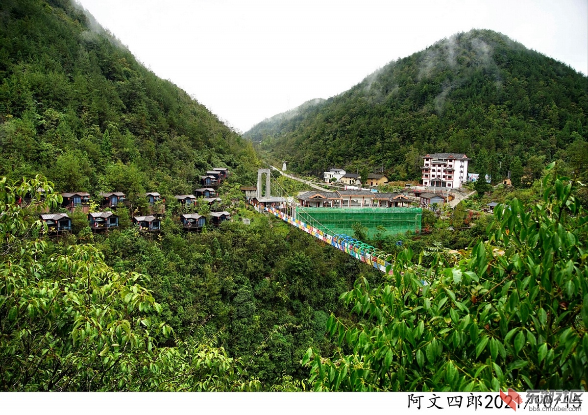 DSC00071.jpg