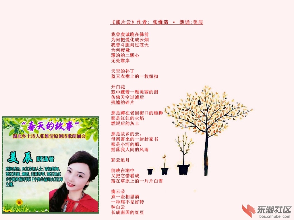 14    光影魔术手拼图.jpg