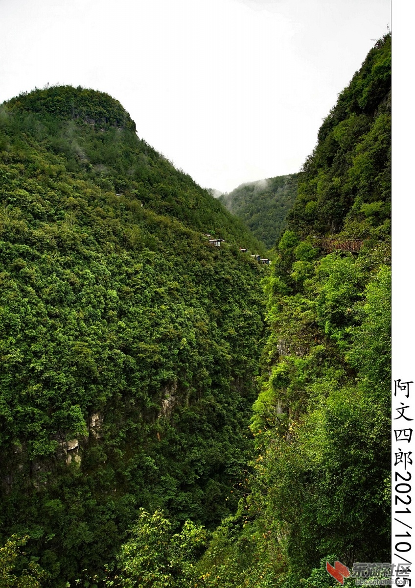 DSC00101.jpg
