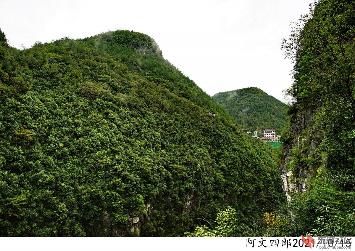DSC00104.jpg