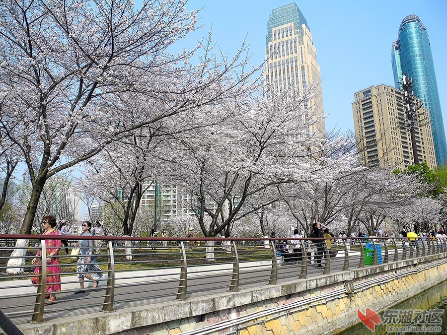 5    DSCN0872 拷贝.jpg