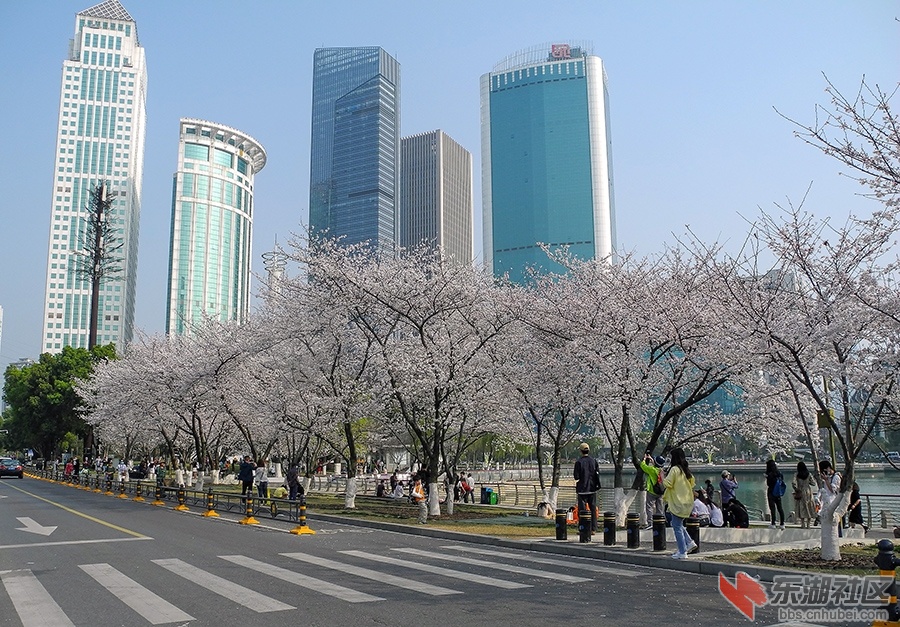 2    DSCN0875 拷贝.jpg