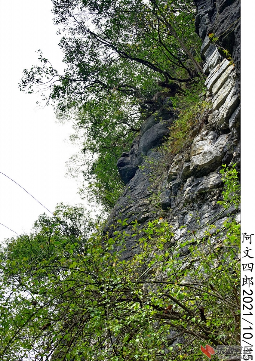 DSC00113.jpg