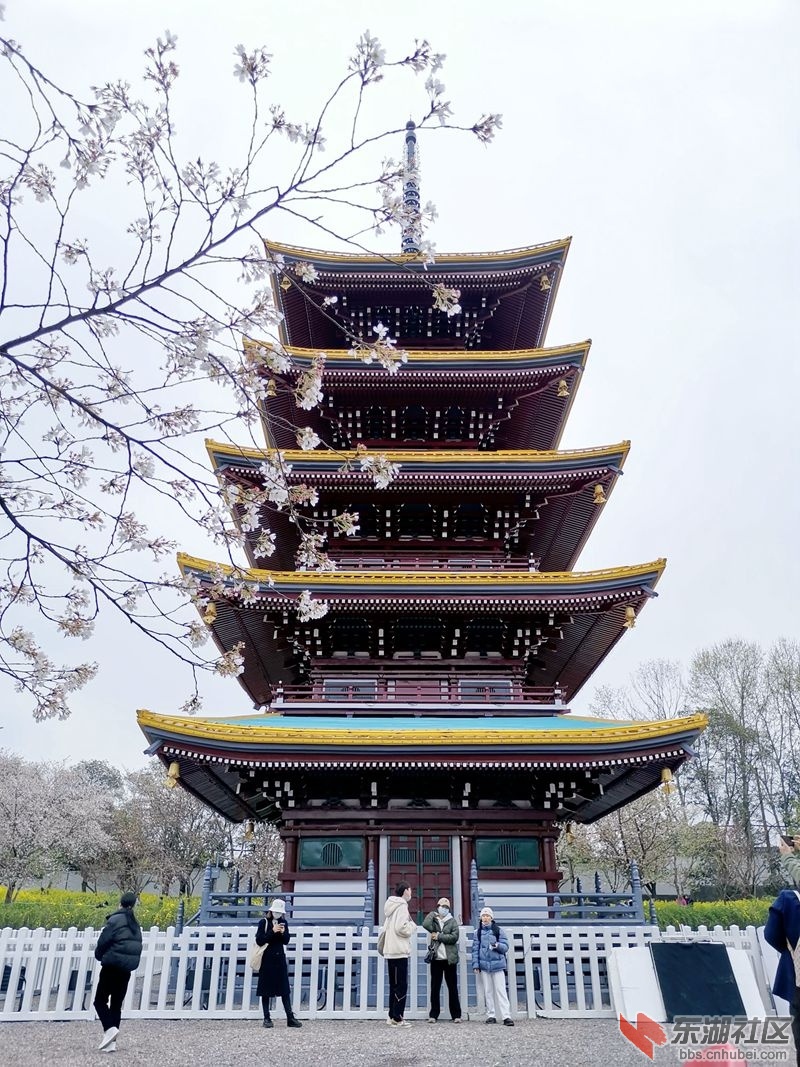 IMG_20220318_112306_副本_副本.jpg