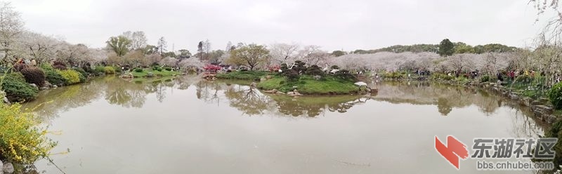 IMG_20220318_111910_副本_副本.jpg