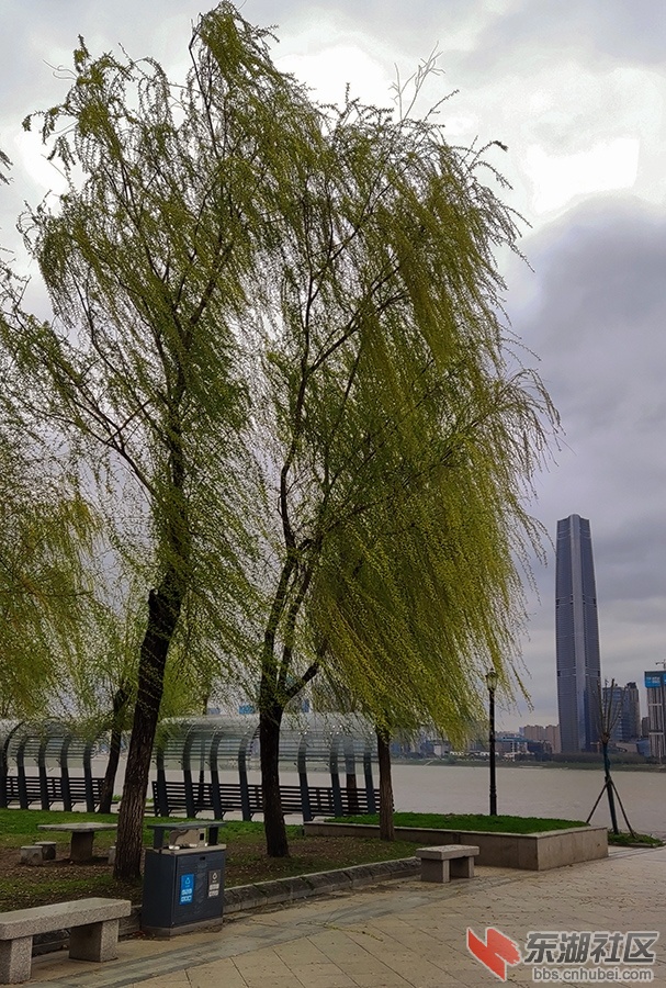 5   IMG_20220317_153239_副本 拷贝 2.jpg
