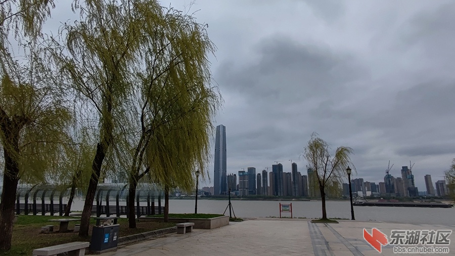 2   IMG_20220317_153257 拷贝bei 拷贝.jpg