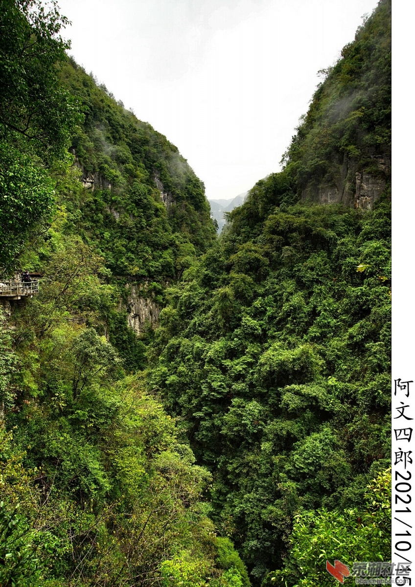 DSC00137.jpg