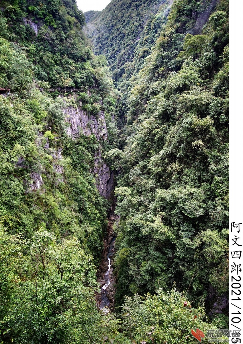 DSC00145.jpg