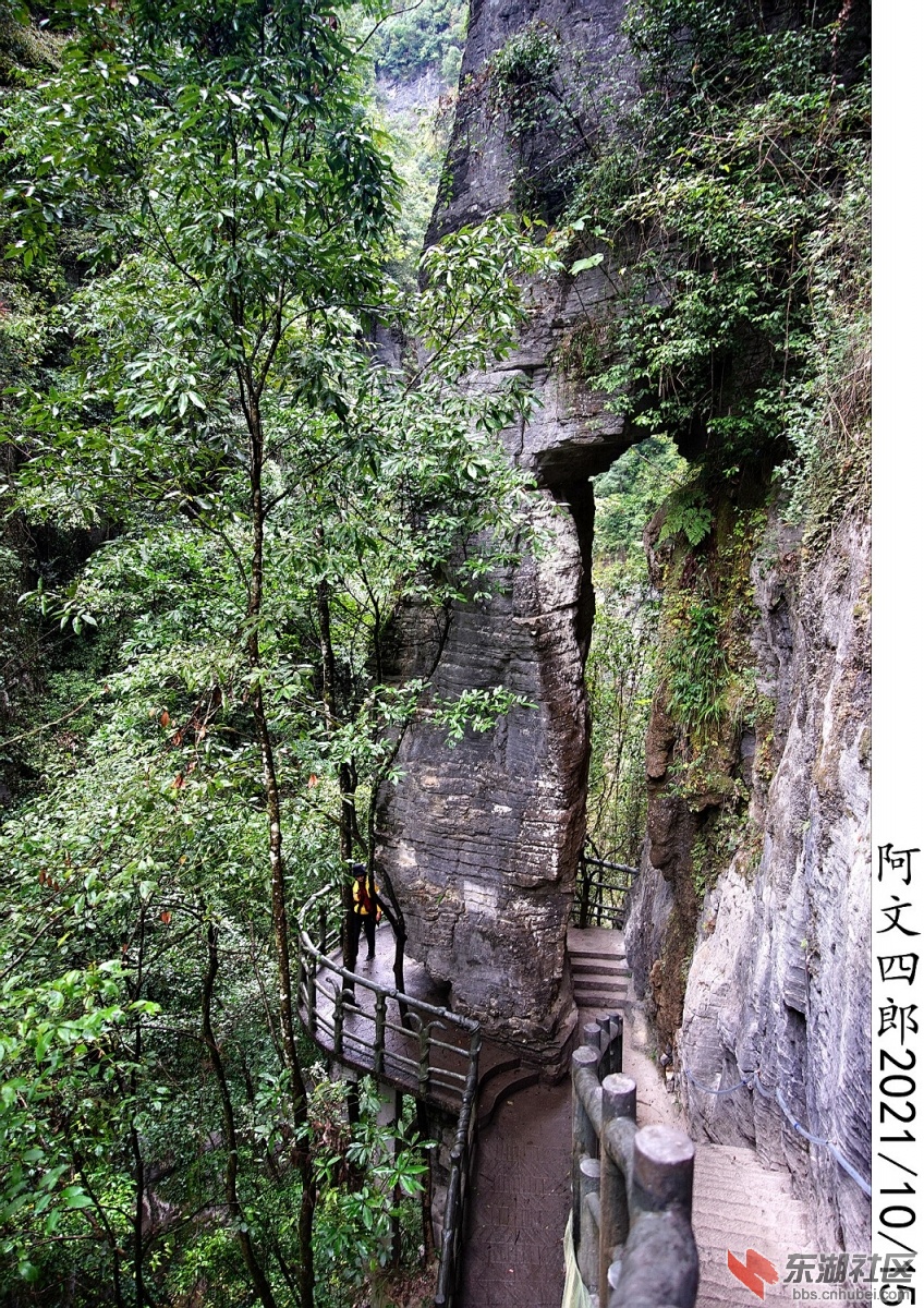 DSC00159.jpg