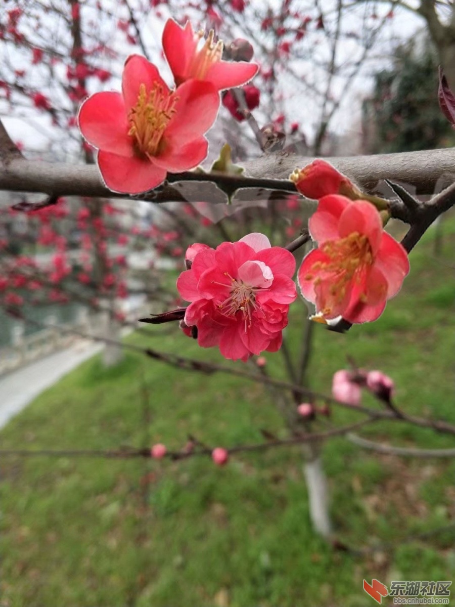 微信图片_20220325100148.jpg