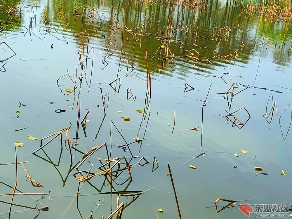 IMG_20220329_085550_副本.jpg